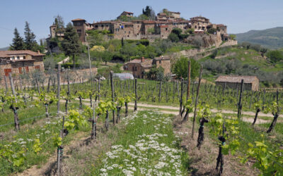 Chianti Classico Wine Region